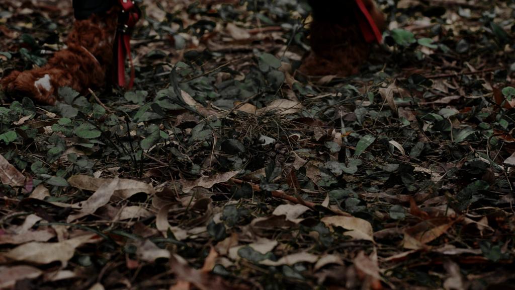 4cb47444-5e7d-4f4d-93df-ba7919a3c722